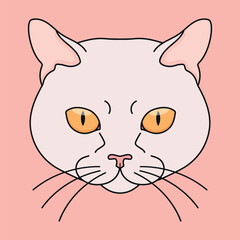 Cat head on pink background. Feline face. Cat with yellow eyes. Vector illustration