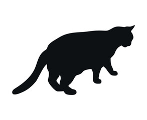 Standing cat silhouette isolated on white background. Feline shadow. Vector illustration