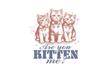 Vintage Funny Cat Quote Sublimation Are you kitten me 