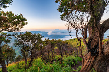 Bromo National p
Park