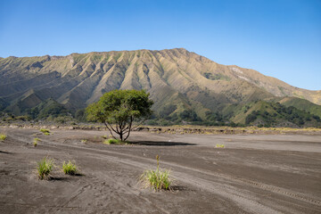 Bromo National p
Park