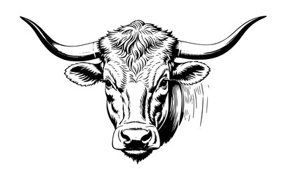 Cattle Collection: Vintage Engravings of Farm Animals