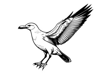 Fototapeta premium Flight of the Seagull: A Study in Nature's Grace