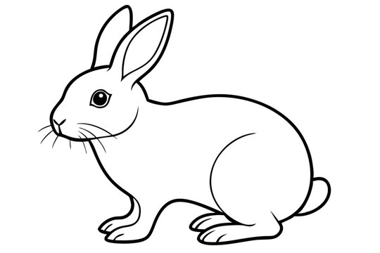 recommend clip art: rabbit line art vector illustration