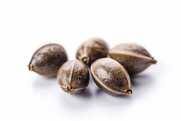 Isolated cannabis seeds on white background
