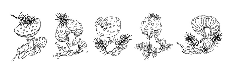Linear sketch, doodle of fly agaric mushrooms, dry leaves, coniferous branches, grass. Vector graphics.