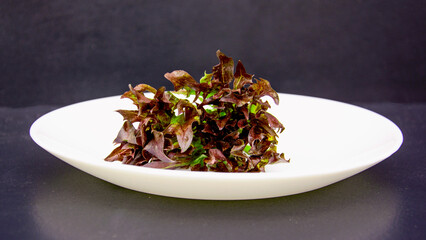 A bunch of fresh aromatic salad greens on a beautiful background