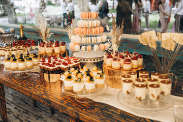 Delicious wedding reception candy bar. Tiramisu, cupcakes, sweetness, macaroons decorated by flowers