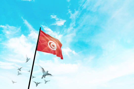 Tunisia flag waving with flying doves against sunset or sunrise. Tunisia flag for Republic Day and Independence Day.