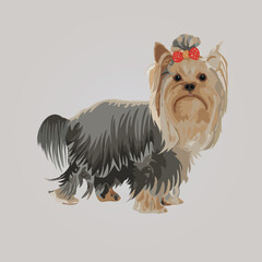 Vector Illustration design business