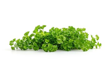 Fototapeta premium Fresh parsley leaves arranged on a white surface