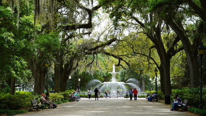 Savannah Ga;  shady walkway in Forsyth Park in the Historic District