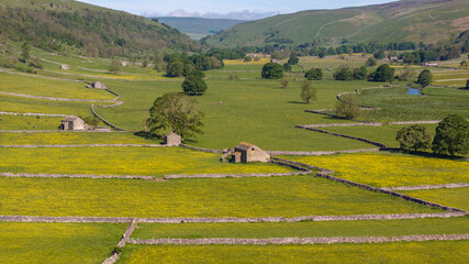 A drone's eye view shows the expanse of the buttercup dotted meadows dissected by stone walls in the vibrant Yorkshire Dales landscape