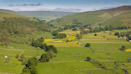 A serene view showcasing vibrant buttercup fields nestled within the rolling hills of the Yorkshire Dales, captured from an aerial drone perspective
