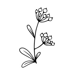 Sketch, doodle of a simple plant, flower. Vector graphics