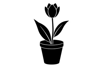 pot in flower vector silhouette illustration