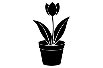 pot in flower vector silhouette illustration