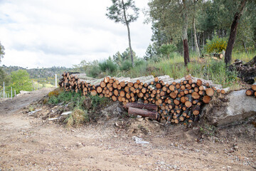 A pile of neatly stacked logs in a rural forest setting, surrounded by greenery and a dirt path, under a cloudy sky, showcasing the logging process and natural landscape.