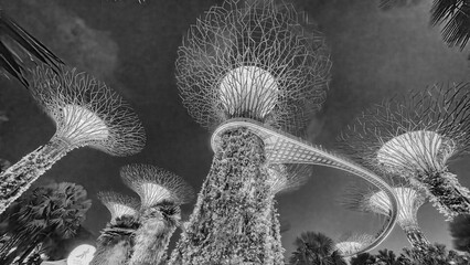 Singapore - September 13, 2023: Illuminated supertrees of Gardens by Bay nature park at night