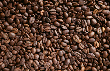 Roasted Arabica coffee beans