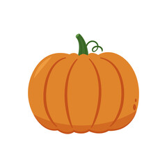 Pumpkin vector. Pumpkin on white background.
