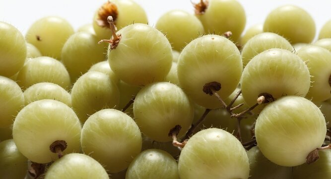 Fresh gooseberry fruits on white background.