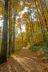 Obraz premium Hikers on a Tree Lined Trail in the Fall