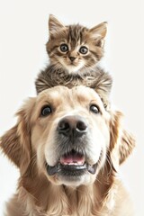 Adorable Friends: Kitten and Puppy Duo Generative AI