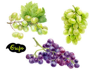 Obraz premium Watercolor illustration of green and purple grapes, ideal for art, design, and food projects