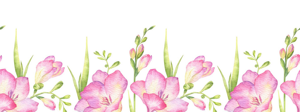 Freesia flowers, buds and leaves. Isolated hand drawn watercolor seamless border of pink wildflowers. Summer floral banner for wedding invitations, cards, packaging of goods
