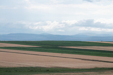 Green yellow agriculture fields of Kars on the mountain hills