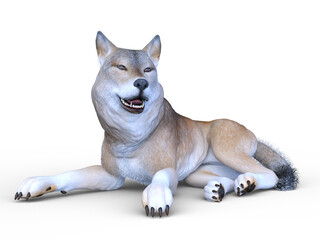 オオカミ　3DCGレンダリング
