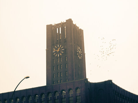 flock of birds flying around historic building tower