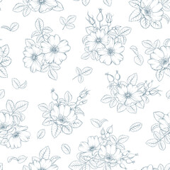 Seamless floral pattern with Rose. Botanical rosehip