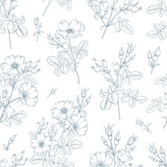 Seamless floral pattern with Rose. Botanical rosehip