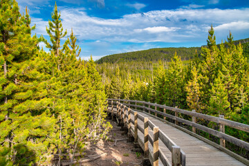 Fototapeta premium Norris Geyser Basin, Yellowstone National Park