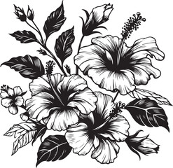 Hibiscus flowers drawing and sketch with line art, vector black color silhouette
