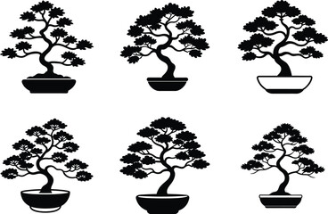 Elegant Bonsai Plant Design set