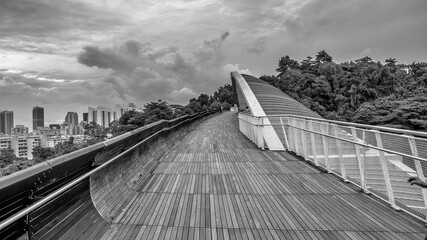 Henderson Waves Bridge in Singapore