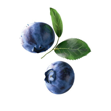 Isolated Blueberry with Flying Leaf on a transparent background