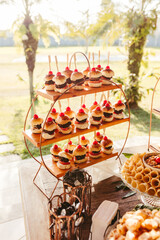 delicious food on a tidy table