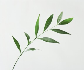 Obraz premium Simplistic Abstract Background with Green Branch