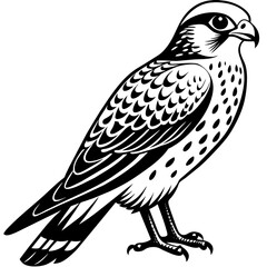 Captivating American Kestrel Vector Illustration A Detailed Guide