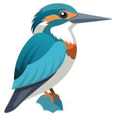 Graceful Belted Kingfisher Vector Illustration for Stunning Detail