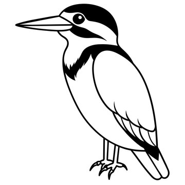 recommend clip art: Graceful Belted Kingfisher Vector Illustration for Stunning Detail
