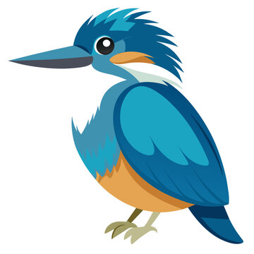recommend clip art: Graceful Belted Kingfisher Vector Illustration for Stunning Detail