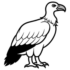 Fototapeta premium Black Vulture Vector Art Stunning Illustration for Your Projects