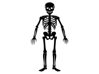 Black silhouette of a human skeleton isolated on a white background. Concept of Halloween, anatomy illustration, bone structure, spooky illustration. Print, icon, design element.