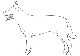 Dog side view scheme silhouette medical veterinary science educational PNG illustration