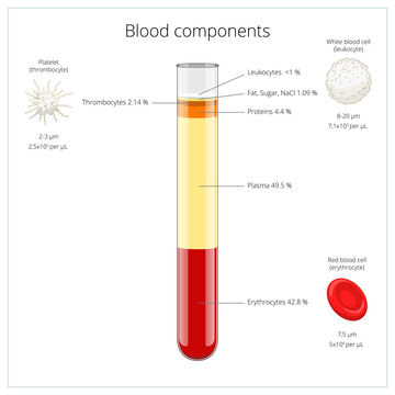 Blood Components